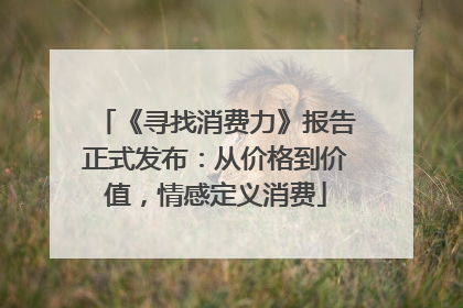 《寻找消费力》报告正式发布：从价格到价值，情感定义消费