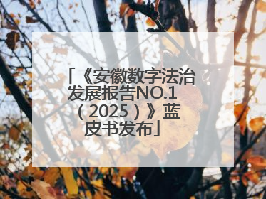 《安徽数字法治发展报告NO.1（2025）》蓝皮书发布