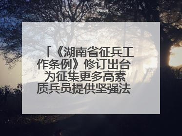 《湖南省征兵工作条例》修订出台 为征集更多高素质兵员提供坚强法治保障