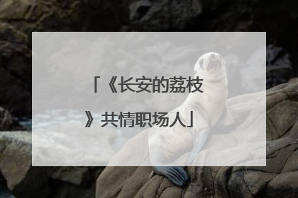 《长安的荔枝》共情职场人