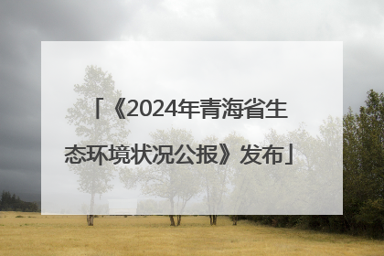《2024年青海省生态环境状况公报》发布
