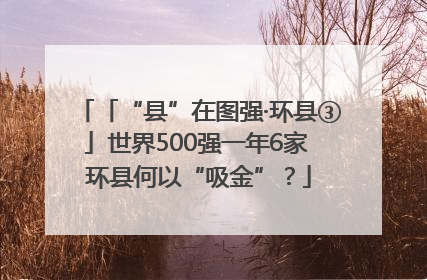 「“县”在图强·环县③」世界500强一年6家 环县何以“吸金”？