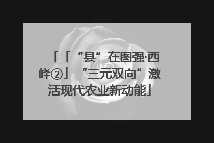 「“县”在图强·西峰②」“三元双向”激活现代农业新动能
