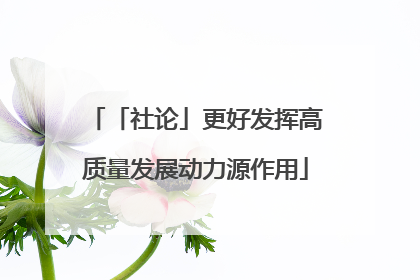 「社论」更好发挥高质量发展动力源作用