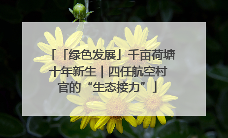 「绿色发展」千亩荷塘 十年新生｜四任航空村官的“生态接力”