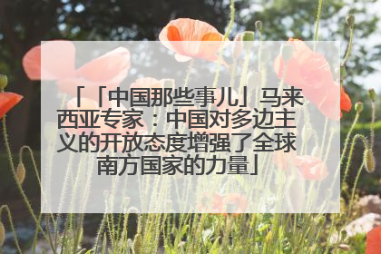「中国那些事儿」马来西亚专家：中国对多边主义的开放态度增强了全球南方国家的力量