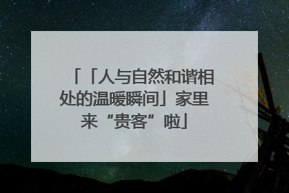 「人与自然和谐相处的温暖瞬间」家里来“贵客”啦