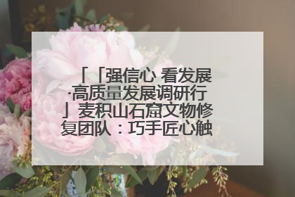「强信心 看发展·高质量发展调研行」麦积山石窟文物修复团队：巧手匠心触摸“光阴的故事”