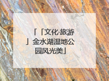 「文化·旅游」金水湖湿地公园风光美