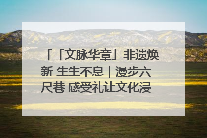 「文脉华章」非遗焕新 生生不息｜漫步六尺巷 感受礼让文化浸润的“巷”往生活