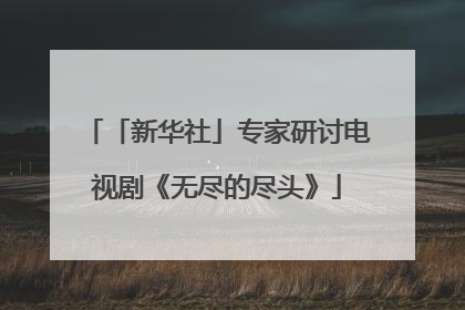 「新华社」专家研讨电视剧《无尽的尽头》