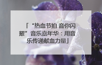 “热血节拍 音你闪耀”音乐嘉年华：用音乐传递献血力量