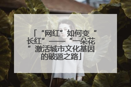 “网红”如何变“长红”——“一朵花”激活城市文化基因的破题之路