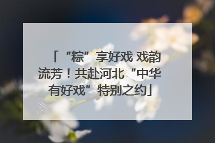 “粽”享好戏 戏韵流芳！共赴河北“中华有好戏”特别之约