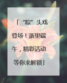 “粽”头戏登场！浙里端午，精彩活动等你来解锁