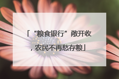 “粮食银行”敞开收，农民不再愁存粮