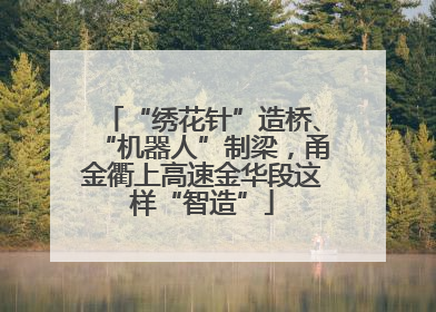 “绣花针”造桥、“机器人”制梁,甬金衢上高速金华段这样“智造”