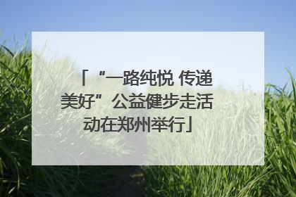 “一路纯悦 传递美好”公益健步走活动在郑州举行