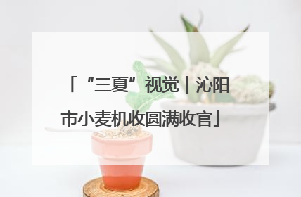 “三夏”视觉｜沁阳市小麦机收圆满收官
