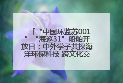 “中国环监苏001”“海巡31”船舶开放日:中外学子共探海洋环保科技 跨文化交流筑牢“蓝色”友谊