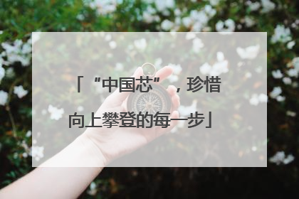 “中国芯”，珍惜向上攀登的每一步