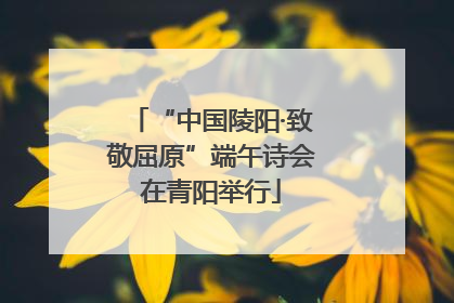 “中国陵阳·致敬屈原”端午诗会在青阳举行