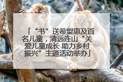 “书”送希望惠及百名儿童，清远连山“关爱儿童成长 助力乡村振兴”主题活动举办