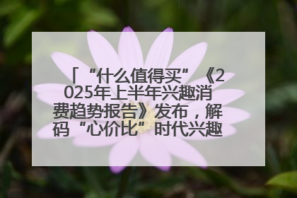 “什么值得买”《2025年上半年兴趣消费趋势报告》发布，解码“心价比”时代兴趣消费新范式