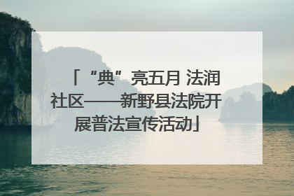 “典”亮五月 法润社区——新野县法院开展普法宣传活动