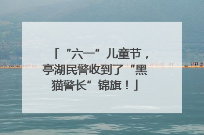 “六一”儿童节，亭湖民警收到了“黑猫警长”锦旗！