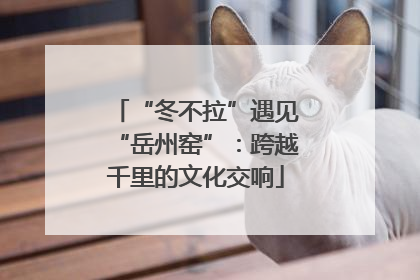 “冬不拉”遇见“岳州窑”：跨越千里的文化交响