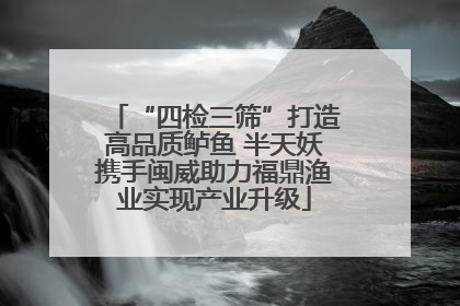 “四检三筛”打造高品质鲈鱼 半天妖携手闽威助力福鼎渔业实现产业升级