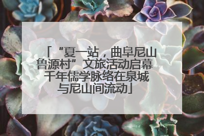 “夏一站，曲阜尼山鲁源村”文旅活动启幕 千年儒学脉络在泉城与尼山间流动