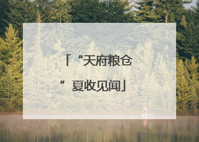 “天府粮仓”夏收见闻