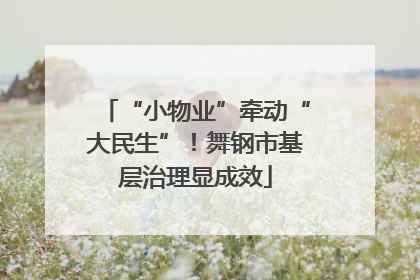 “小物业”牵动“大民生”！舞钢市基层治理显成效