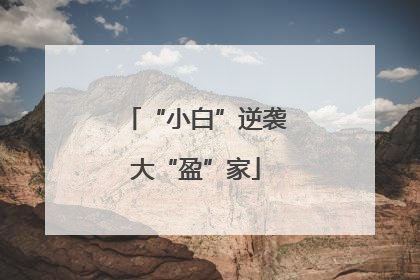 “小白”逆袭大“盈”家