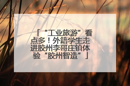 “工业旅游”看点多！外籍学生走进胶州李哥庄镇体验“胶州智造”
