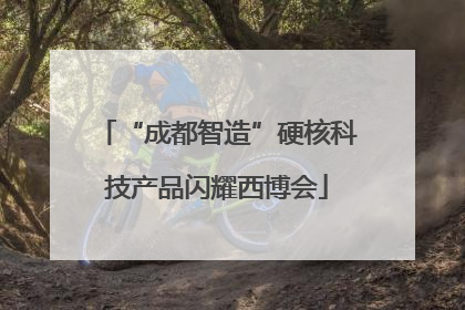 “成都智造”硬核科技产品闪耀西博会