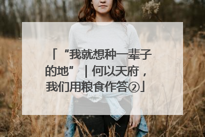“我就想种一辈子的地”｜何以天府，我们用粮食作答②