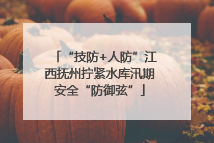 “技防+人防”江西抚州拧紧水库汛期安全“防御弦”
