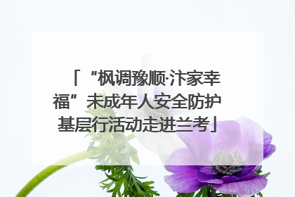 “枫调豫顺·汴家幸福”未成年人安全防护基层行活动走进兰考