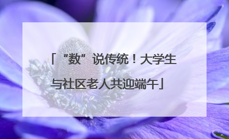 “数”说传统！大学生与社区老人共迎端午