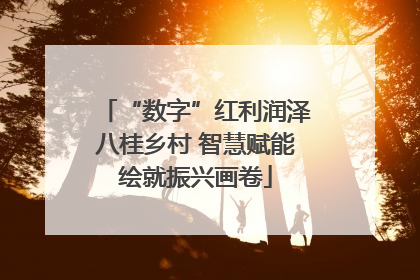 “数字”红利润泽八桂乡村 智慧赋能绘就振兴画卷