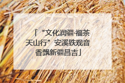 “文化润疆·福茶天山行”安溪铁观音香飘新疆昌吉