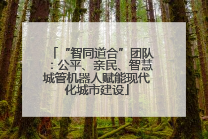 “智同道合”团队：公平、亲民、智慧城管机器人赋能现代化城市建设