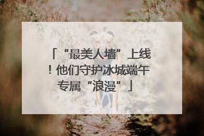 “最美人墙”上线！他们守护冰城端午专属“浪漫”