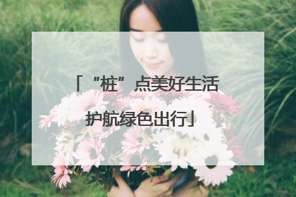 “桩”点美好生活 护航绿色出行