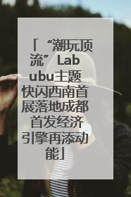 “潮玩顶流”Labubu主题快闪西南首展落地成都 首发经济引擎再添动能