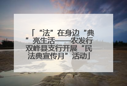“法”在身边“典”亮生活——农发行双峰县支行开展“民法典宣传月”活动