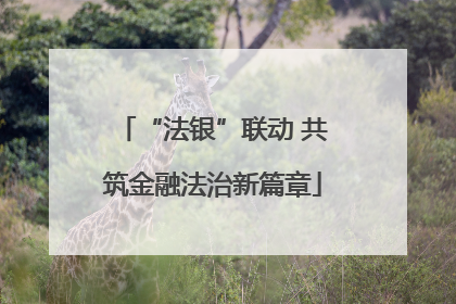 “法银”联动 共筑金融法治新篇章